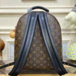 Louis Vuitton Palm Springs MM M44874 Brown